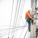 Les obligations d’élagage à proximité des lignes électriques et téléphoniques